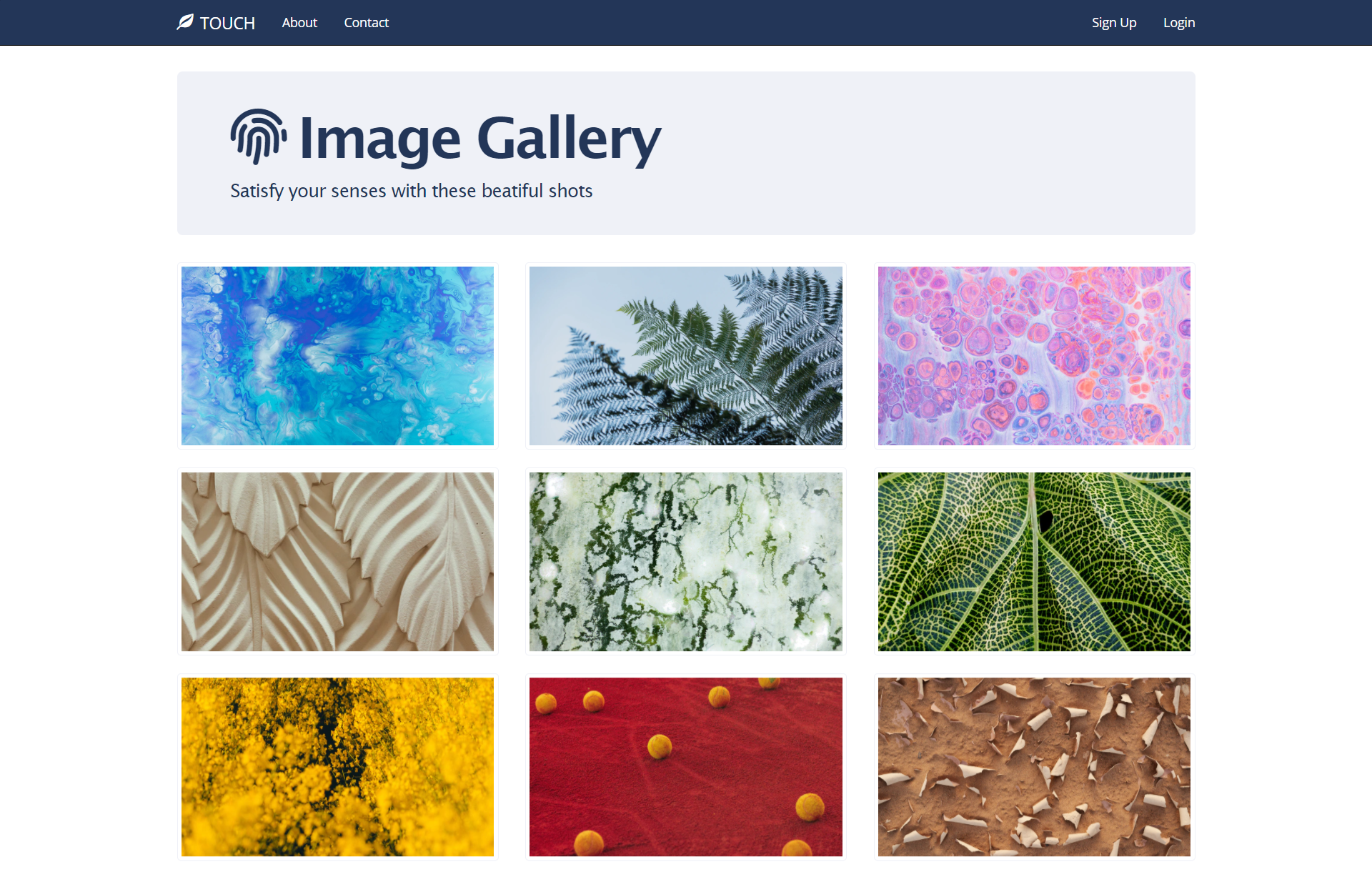 Sense of Touch website